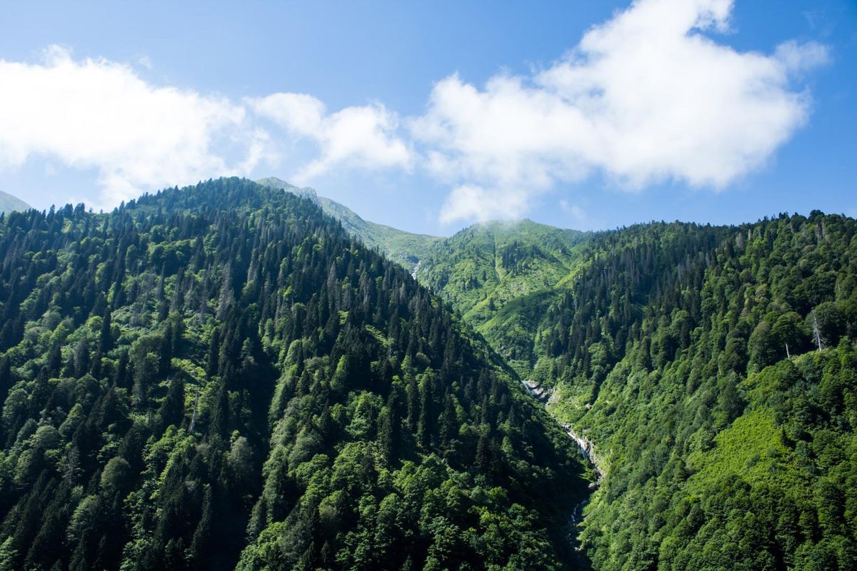 L'Impact Environnemental de la Fonderie Artisanale : Comparaison et Solutions Durables